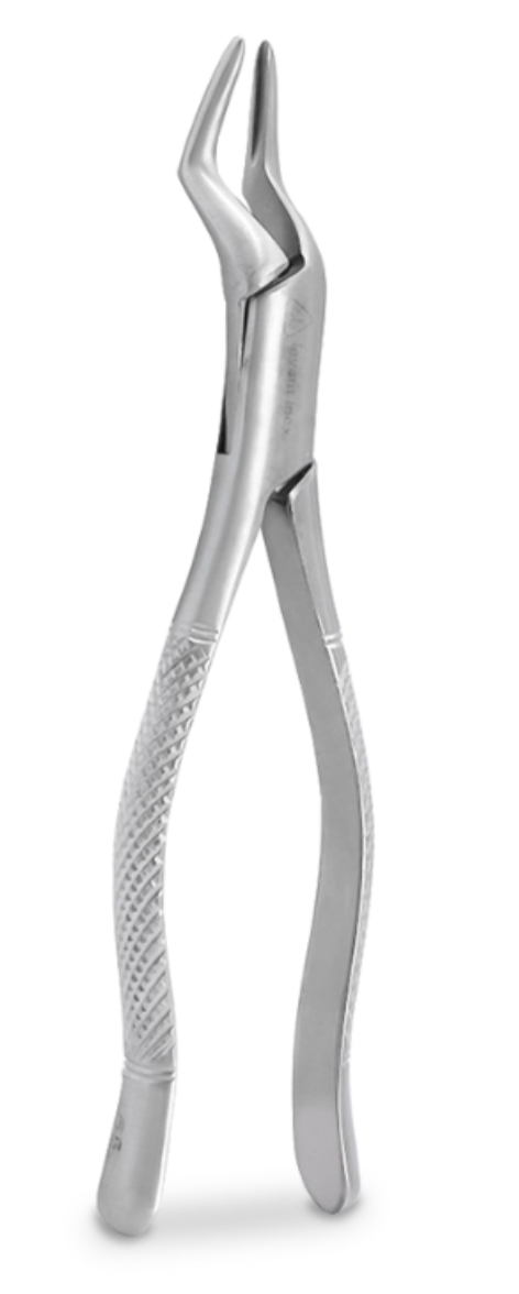 FORCEP ADULTO – 6B INVENT
