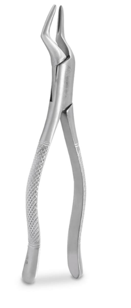 FORCEP ADULTO – 6B INVENT