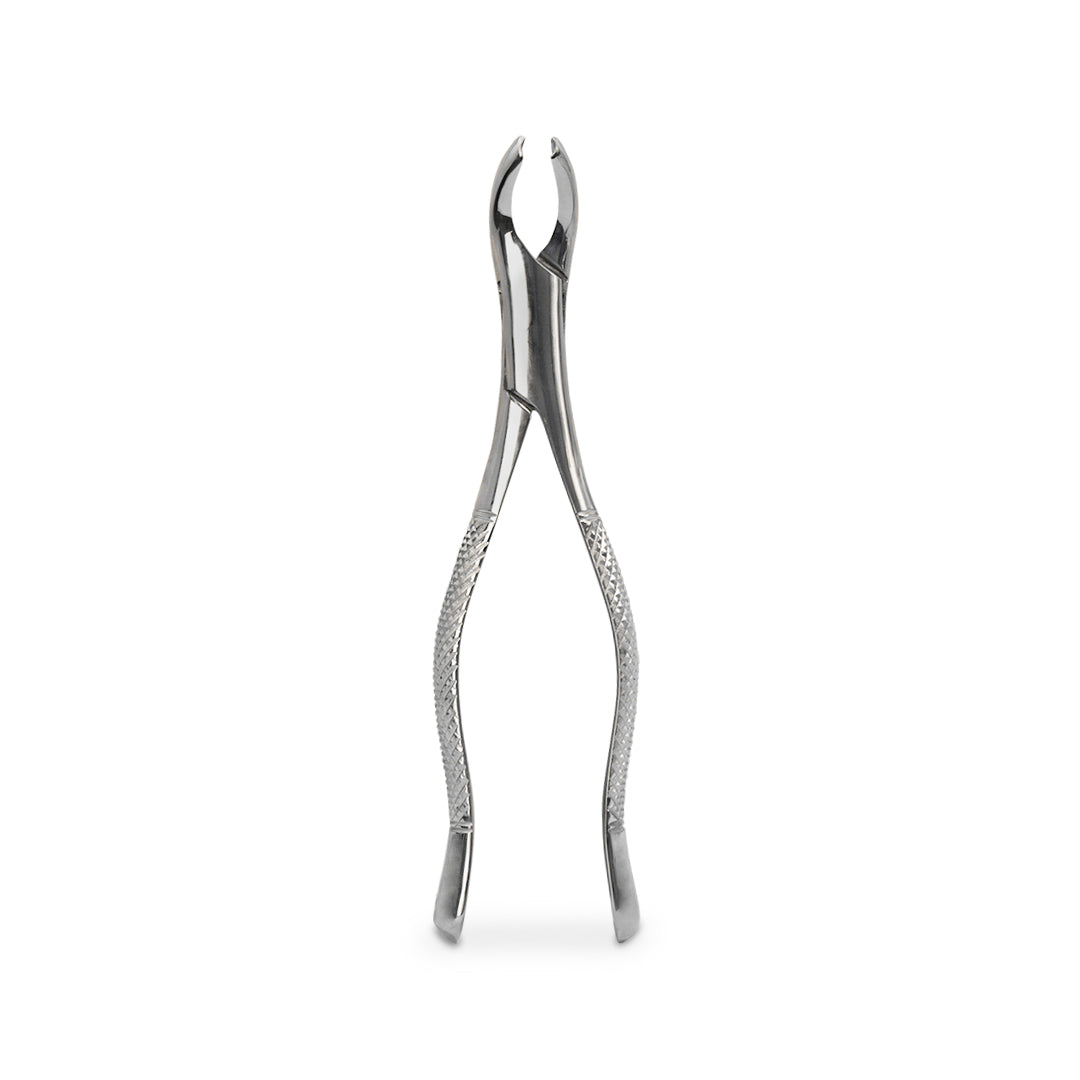 FORCEP ADULTO – 6B INVENT