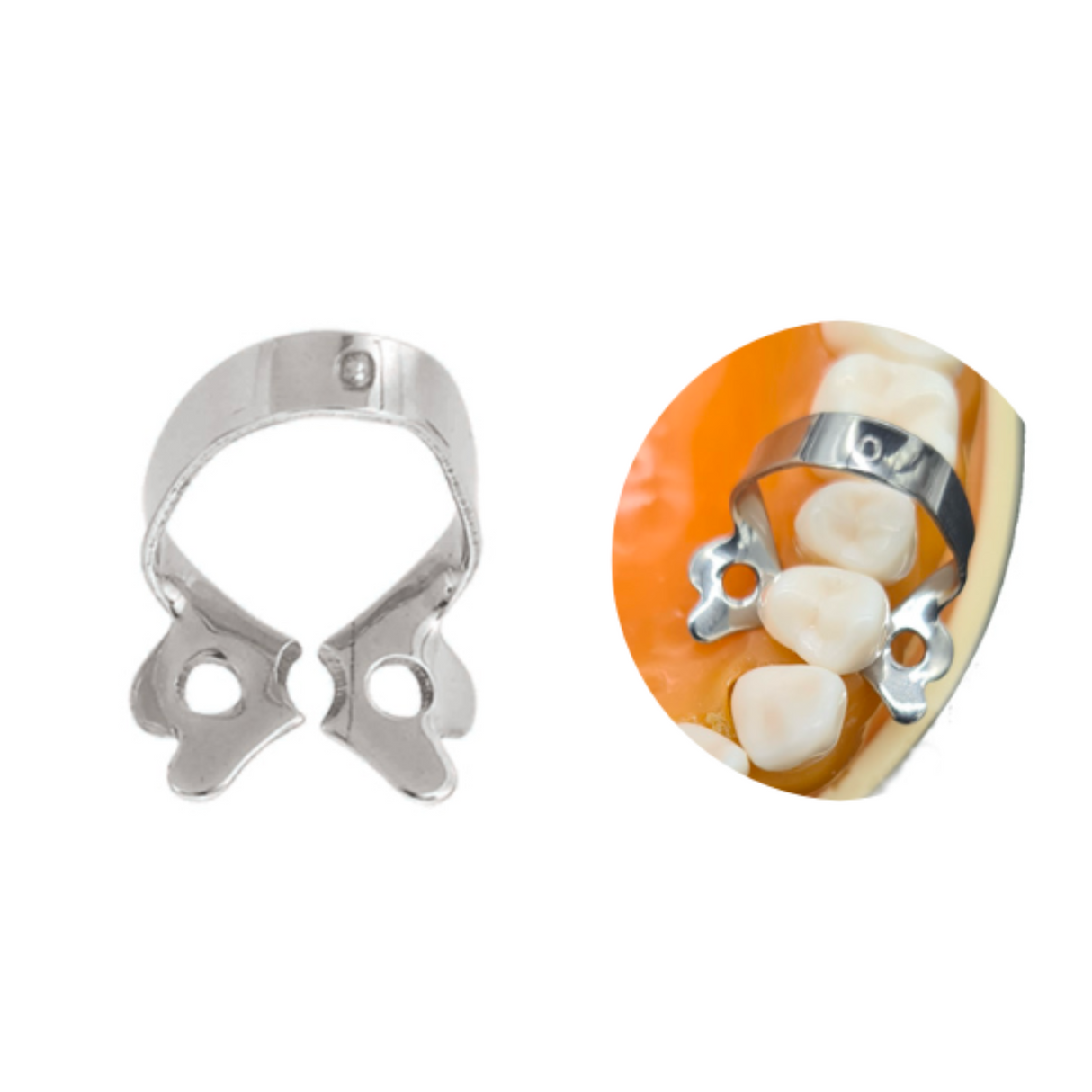 GRAPA DIQUE DE HULE - 6B INVENT