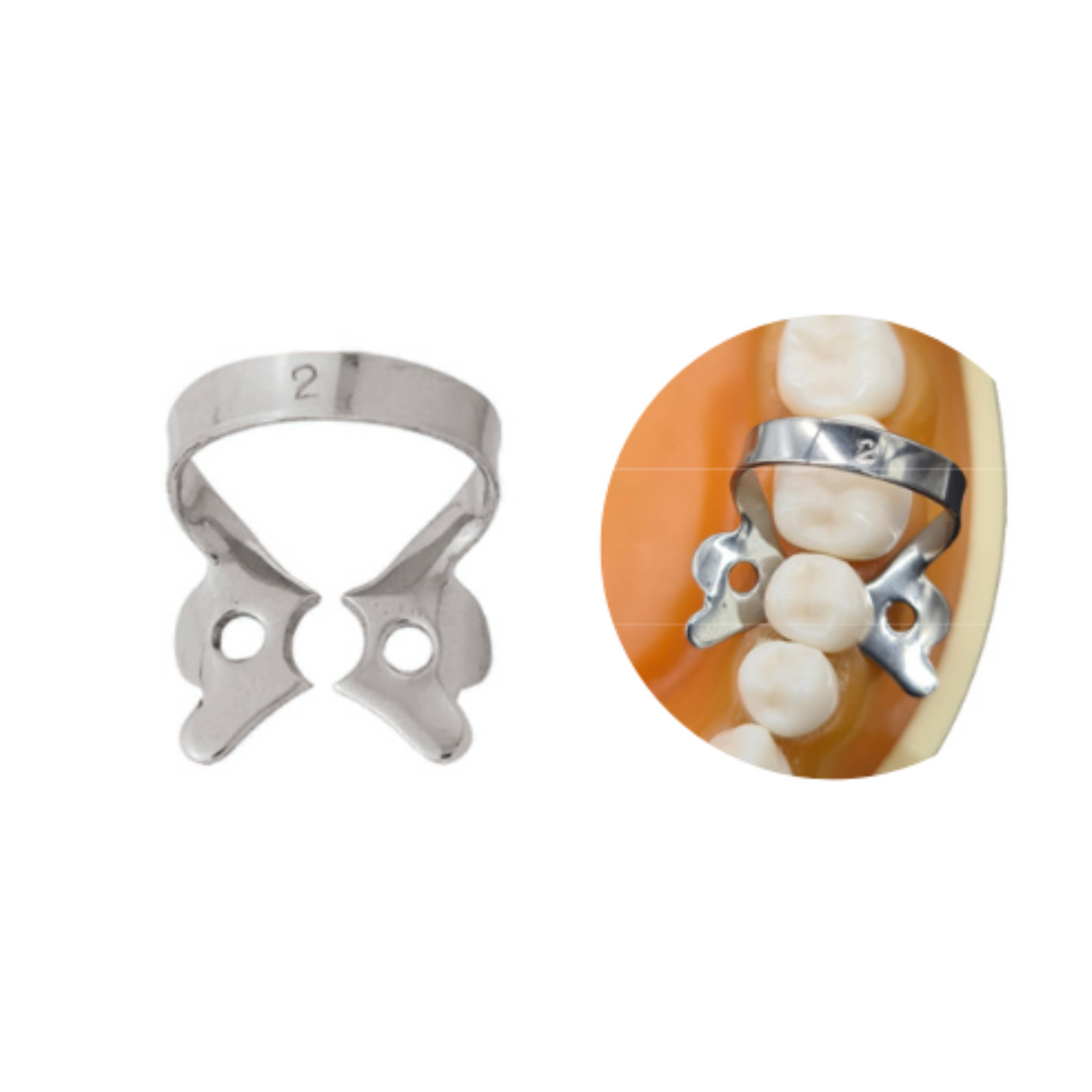 GRAPA DIQUE DE HULE - 6B INVENT