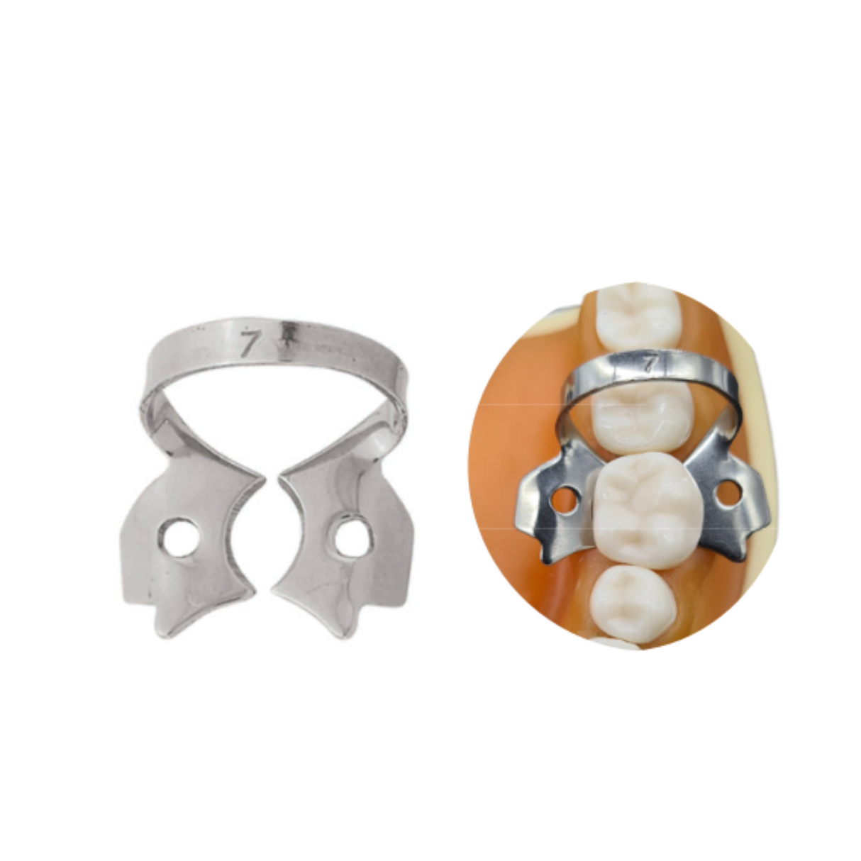 GRAPA DIQUE DE HULE - 6B INVENT