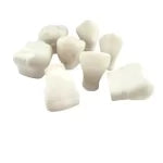 MACRO DIENTES DE YESO CON 8 PIEZAS
