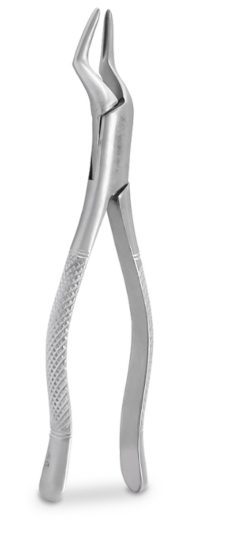 Forcep Adulto – 6B INVENT