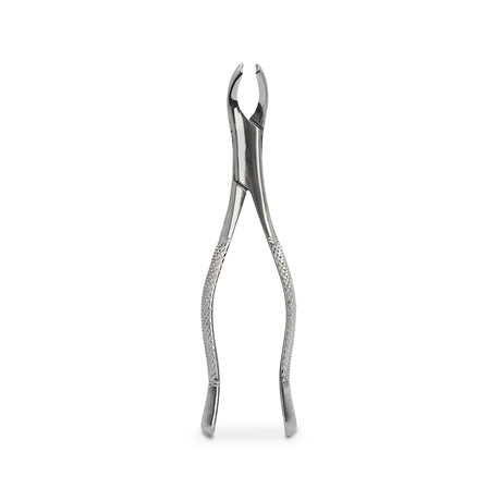 Forcep Adulto – 6B INVENT