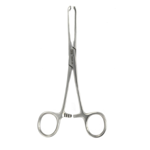 PINZA ALLIS PARA ENCÍA 15.5 CM