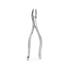 Forcep Adulto – 6B INVENT