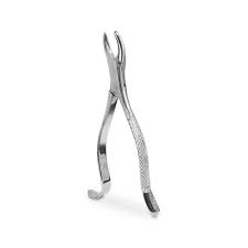Forcep Adulto – 6B INVENT