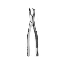 Forcep Adulto – 6B INVENT