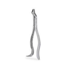 Forcep Adulto – 6B INVENT